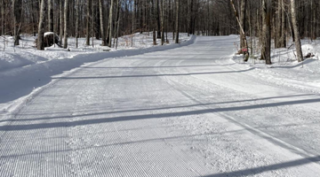 The Birkie Trail System